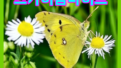 야당스카이돔나이트 ◇ 처음 오신 고객님도 최고의 VIP로 모셔서 계속 저를 찾아주실 수 있도록 서비스 하겠습니다