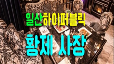 믿음을 주는 일산가라오케 프로 웨이터 고객감동을 실현할께요 일산퍼블릭가격 일산비지니스룸