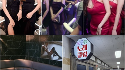 믿을만한 운정노래빵 프로 영업진 오히려 유흥의 꽃은 혼자입니다 운정필리핀노래방 운정업소